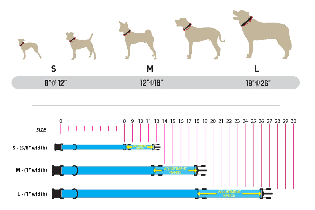 How To Choose The Right Size Dog Collar
