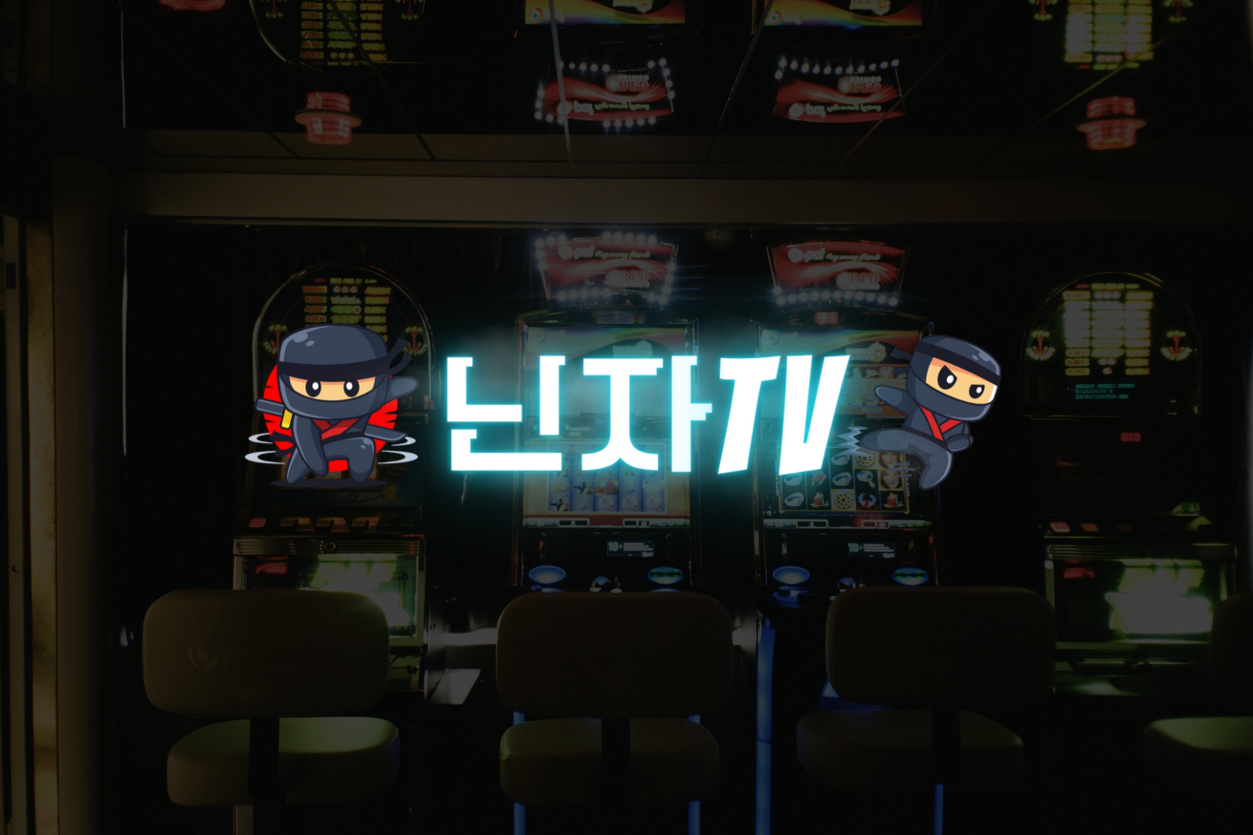 닌자티비 접속 안될 때 대처법